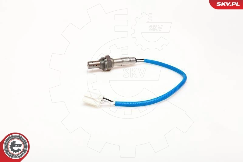 Oxygen Sensor